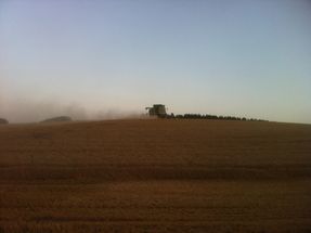 IMG_0775.JPG